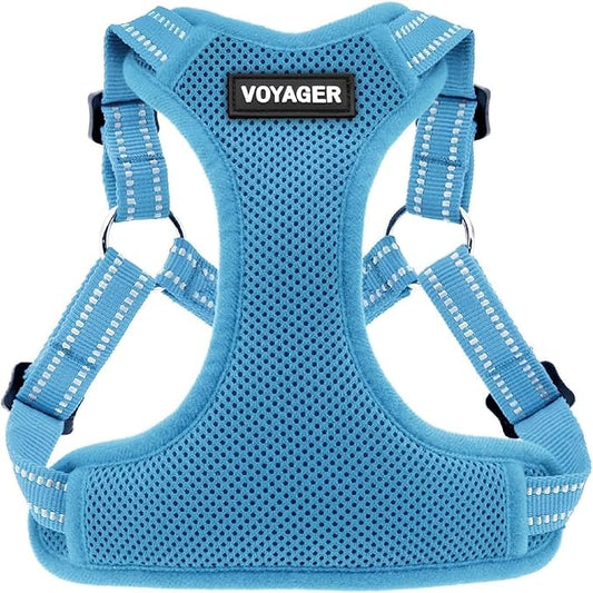 Best Pet Supplies Voyager Adjustable Step-In Flex Breathable Mesh Dog Harness for Small Medium Large Dogs (Baby Blue), M