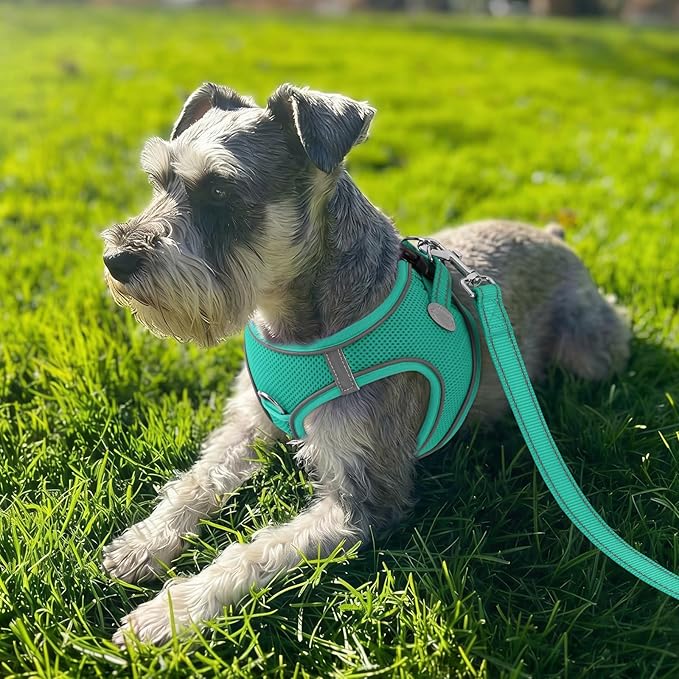 Joytale Small Dog Harness, Breathable Mesh Step-in Vest, Reflective Soft Padded Harnesses for Small and Medium Dogs, Teal, M