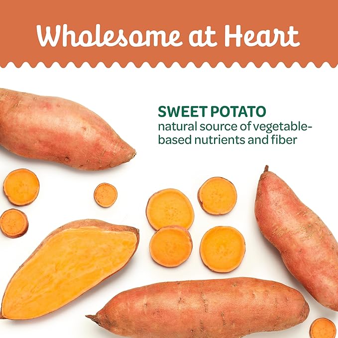 Wholesome Pride Healthy Sweet Potato Fries – Sensitive Stomach Dog Treats, No Preservatives, Single-Ingredient, No Grain, 16 oz