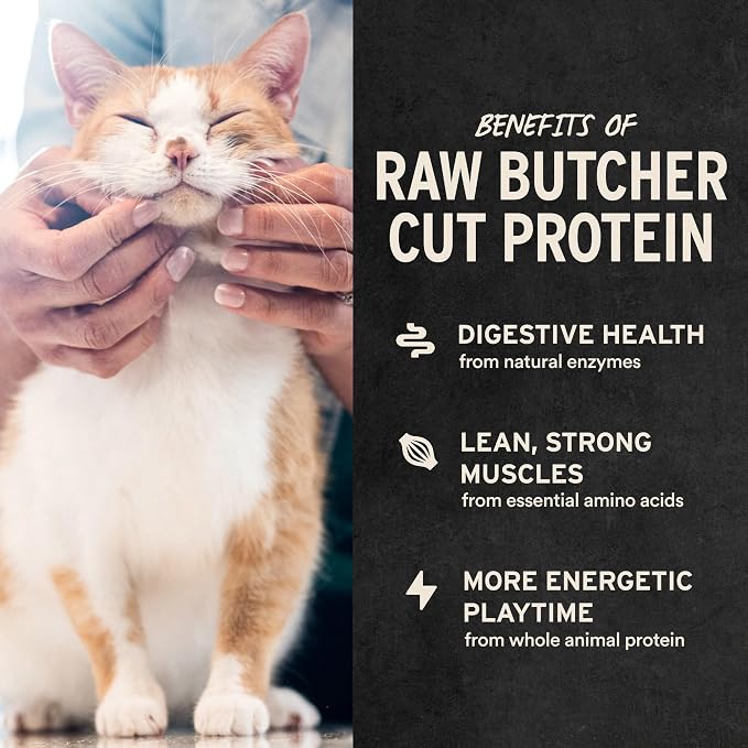 Vital Essentials Freeze Dried Minnows Cat Treats | Single Ingredient | Premium Quality | Grain Free, Healthy Treats for Cats, 1.5 oz Bag
