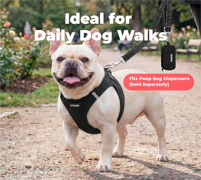 Best Pet Supplies Voyager Reflective Dog Leash or Collar with Neoprene Handle, for Small, Medium, and Large Breed Puppies, Cute and Heavy Duty for Walking, Running and Training - Black (Leash), M