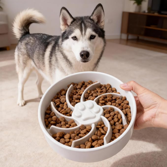 Ceramic Slow Feeder Dog Bowl, 3 Cup Dog Food or 25oz Water, Slow Eating Bowl for Middle Breed, Maze Puzzle Feeder for Fast Eaters, Anti-Choking Stop Bloat, Non-Slip BPA Free (White)
