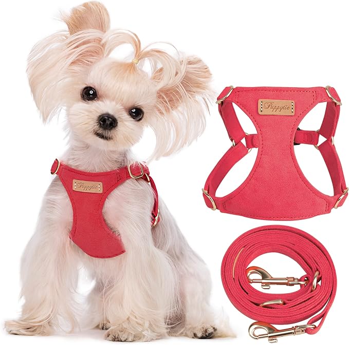 Puppytie XXS Puppy Harness with Multifunction Dog Leash,Soft Adjustable No Choke Escape Proof Pet Harness Vest,red-Camellia,XXS