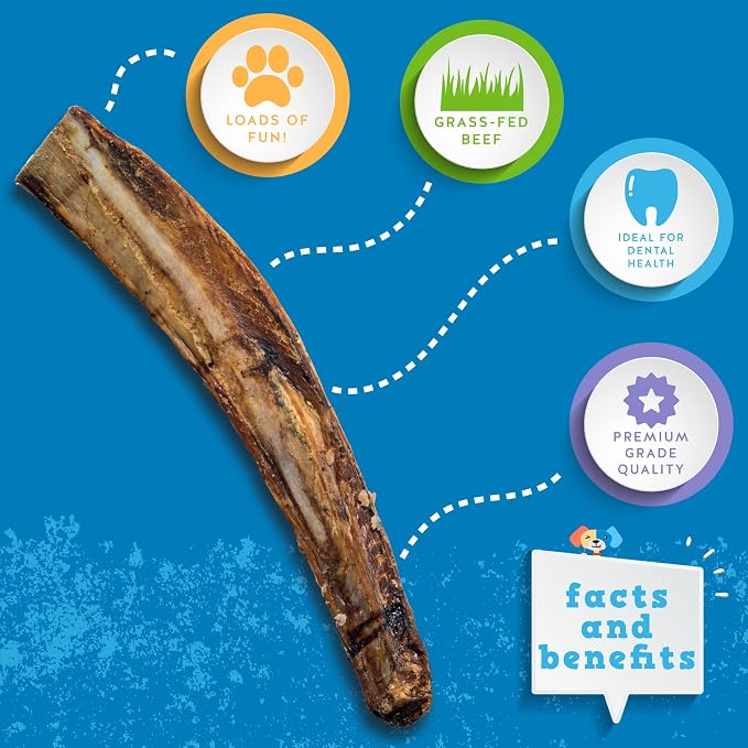 Jack&Pup 12" Rib Bones for Dogs (3 Pack), All Natural Dog Beef Bones, Single Ingredient Bone Marrow, Real Bone for Dogs