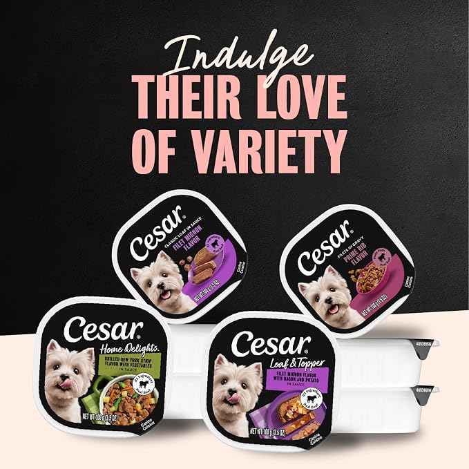 Cesar Adult Wet Dog Food Steak Lovers Variety Pack with Real Meat, 3.5 oz. Easy Peel Trays, 36 Count (Pack of 1)