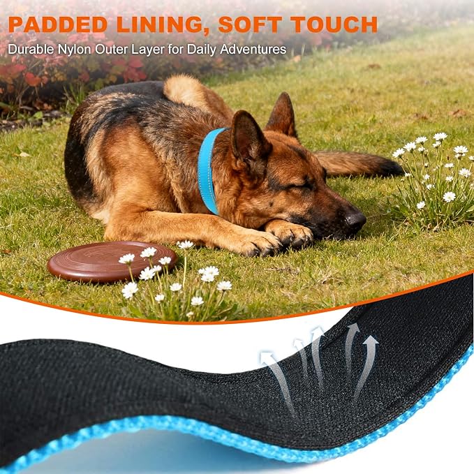 Taglory Reflective Dog Collar for Extra Large Dogs, Soft Neoprene Padded with Escape-Proof Locking Buckle, Upgraded Zinc Alloy Ring, Adjustable for Daily Walking, SkyBlue,XL