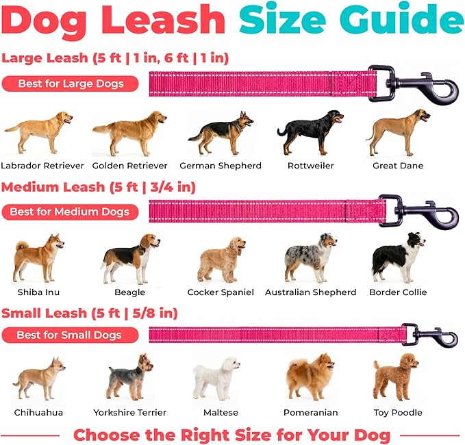 Best Pet Supplies Voyager Reflective Dog Leash or Collar with Neoprene Handle, for Small, Medium, and Large Breed Puppies, Cute and Heavy Duty for Walking, Running and Training - Fuchsia Leash, L