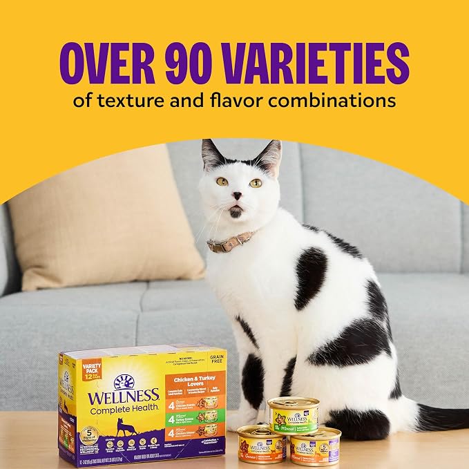 Wellness Complete Health Gravy and Minced Variety Pack Adult Canned Wet Cat Food, Natural, Protein Rich, Grain Free, Chicken and Turkey Lovers, 3 oz, Pack of 24 Cans