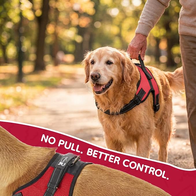 No Pull Reflective Adjustable Dog Harness With Handle- Comfortable Soft All Weather Mesh, Easy On Puppy Harness For Small Medium and Large Dogs (Red) Medium