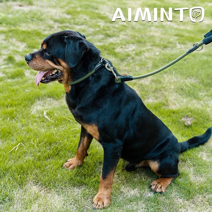 Dog Leash, Braided Rope Traction – Walking Training Lead for Medium/Large Dogs ((1/2") x 6FT, Dark Green)