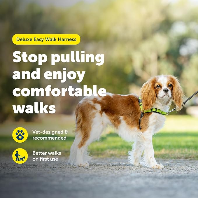 PetSafe Easy Walk Deluxe Dog Harness, No Pull Dog Harness Perfect for Leash & Harness Training Stops Pets from Pulling and Choking on Walks Small, Apple