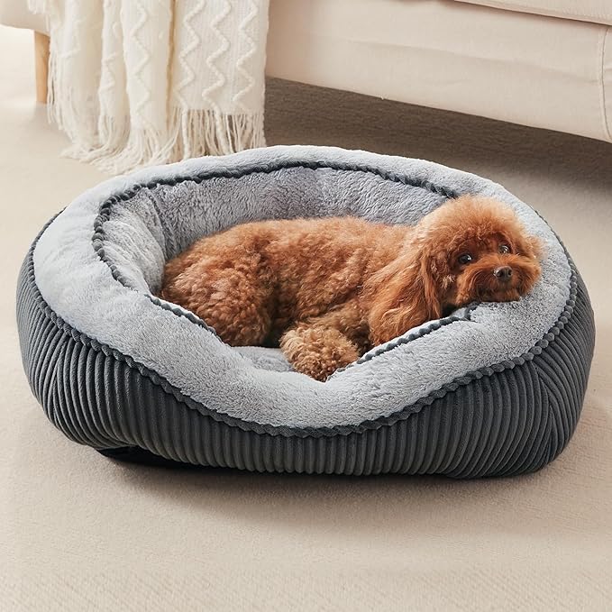 Washable Dog Bed for Small Medium Sized Dogs, Rectangle Small Puppy Cat Dog Beds, Orthopedic Pet Bed, Soft Breathable Calming Pet Sofa Bed Anti-Anxiety with Anti-Slip Buttom, S(20"x19"x6")