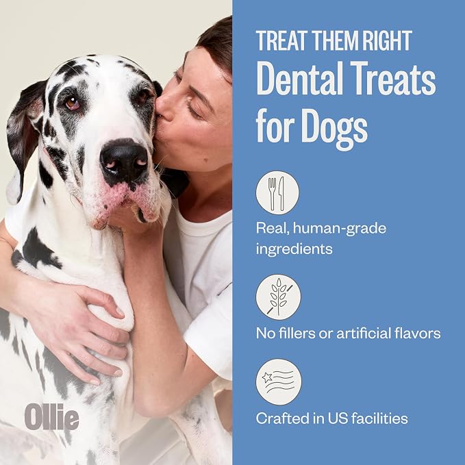 Ollie Dental Chews for Large Dogs, 4 Pack, Fresh Breath, Teeth Cleaning Treats, Sticks for Dog Oral Care, with Parsley and Cinnimon, for Pups 51 lbs and Above