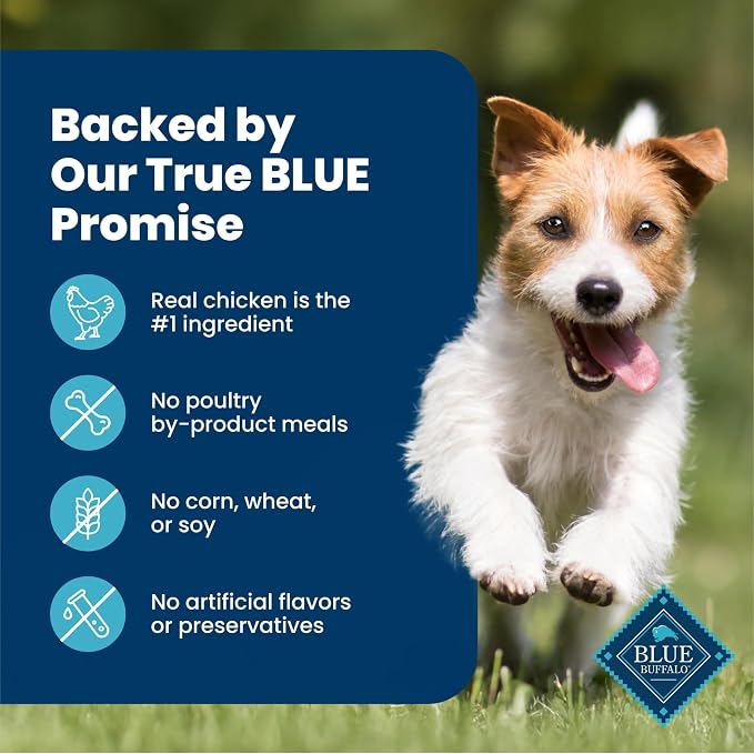 Blue Buffalo Delights Grilled Chicken Flavor Paté Natural Grain Free Wet Dog Food for Small Breed Dogs in Savory Juice with Natural Ingredients, Vitamins & Minerals, 3.5-oz. Each (12 Cups)