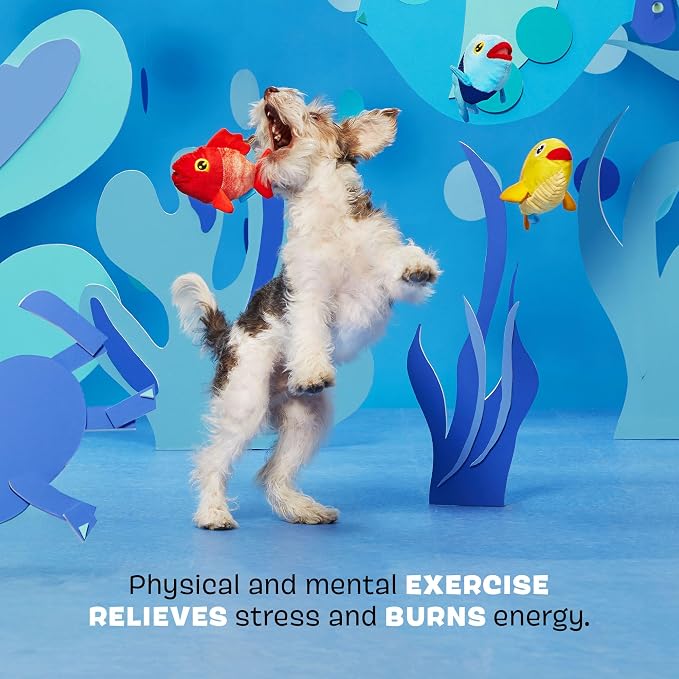 Barkbox The Groupers