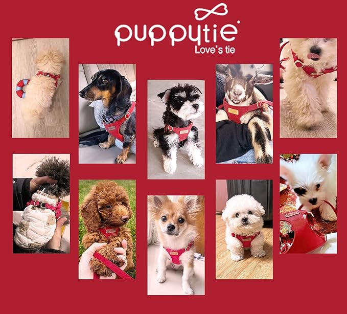Puppytie XXS Puppy Harness with Multifunction Dog Leash,Soft Adjustable No Choke Escape Proof Pet Harness Vest,red-Camellia,XXS