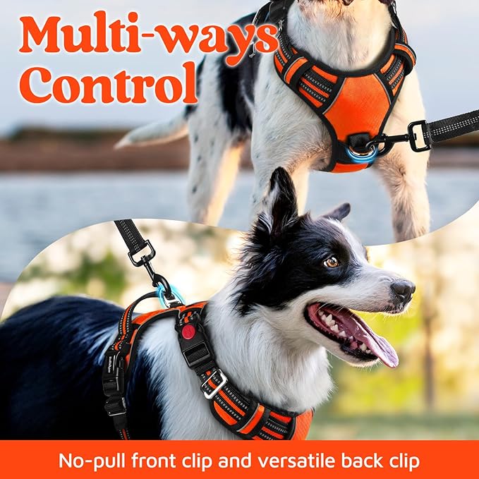 rabbitgoo Dog Harness Small Sized, 3 Buckles Easy On & Off No Pull Pet Vest, Soft Padded Walking Pet Harness with Control Handle, Adjustable and Reflective, Orange, S