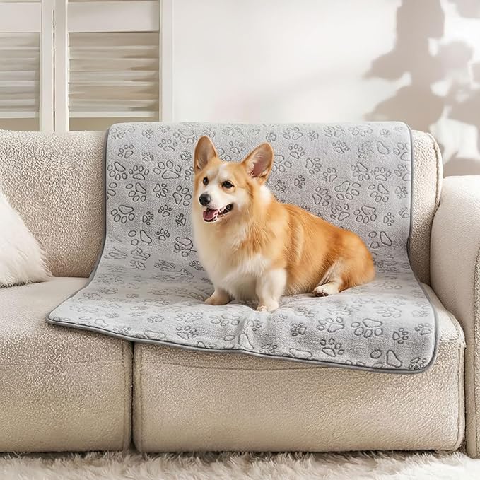 Dog Blankets for Small, Medium Dogs, Puppy Blanket Washable, Dogs Essentials for Puppies, Cat (2, 41" x 30")