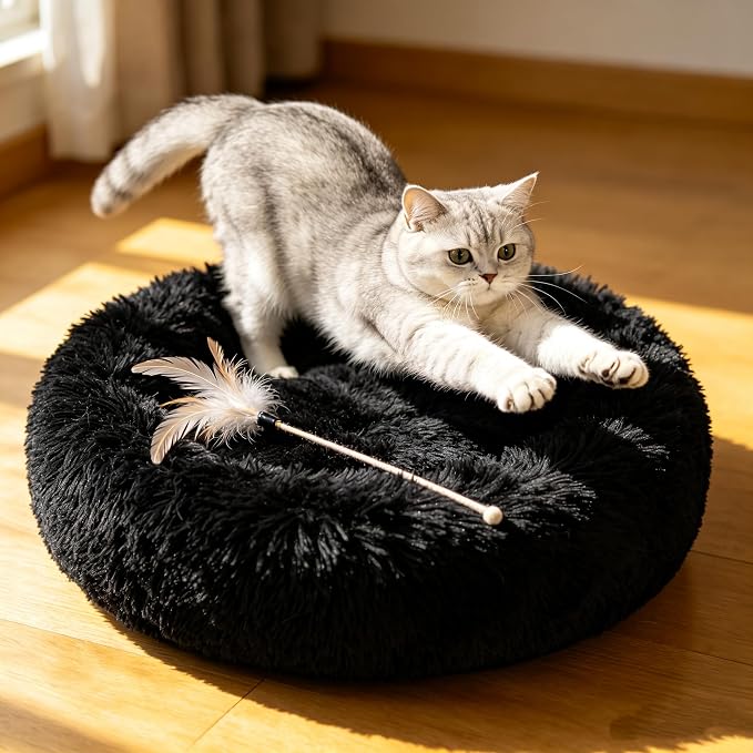 Cat Beds for Indoor Cats - Cat Bed Washable 24 inches, Dog Beds for Small Medium Dogs, Anti Anxiety Round Fluffy Plush Faux Fur Cat Bed, Thick Bottom (Dark, Large 24" L x 24" W)
