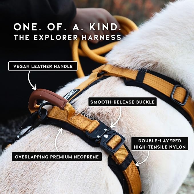 MADE TO ROAM Premium Explorer Harness - Y-Shaped Dog Harness with Adjustable Durable Nylon, Soft Padding, Metal Buckles and Leather Handle for Small, Medium, Large Dogs (Arizona Heartbeat, Size 7)