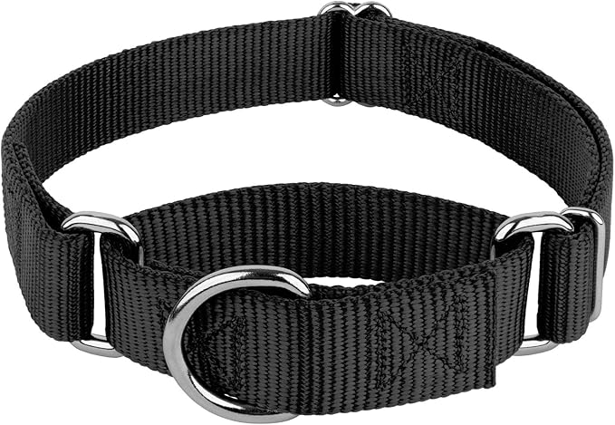 Country Brook Petz - Martingale Dog Collar - Heavy-Duty Training Collar with No Buckle - Service Dog Collar for All Pups - 20 Vibrant Colors (Black, 1 Inch, Extra Large)