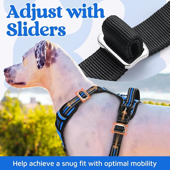 rabbitgoo Dog Harness Small Sized, 3 Buckles Easy On & Off No Pull Pet Vest, Soft Padded Walking Pet Harness with Control Handle, Adjustable and Reflective, Blue, S