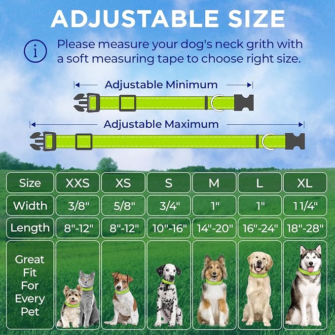 TECEUM Reflective Dog Collar – Acid Green – XL – Extra Soft Padding – Basic Nylon Pet Collar – Quick Release Buckle – Fits Small, Medium and Large Dogs, Puppies, Cats – ESA & Service Dog Options