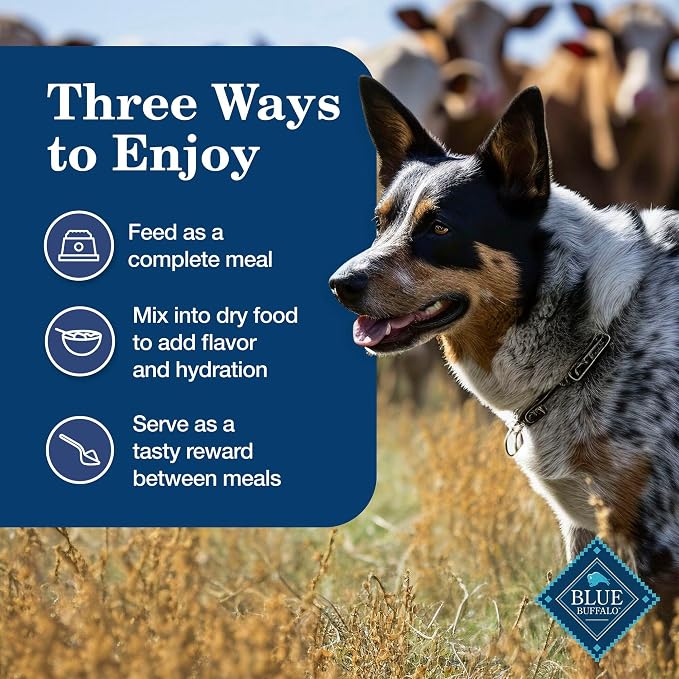 Blue Buffalo Homestyle Recipe Chicken Dinner with Garden Vegetables Natural Wet Dog Food for Adult Dogs, Paté with Natural Ingredients, Vitamins & Minerals, 12.5-oz. Can (12 Count)