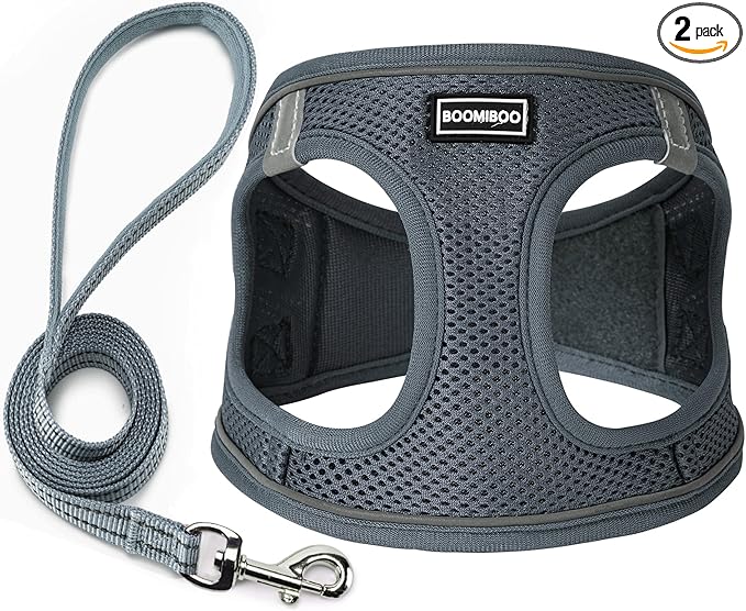 Dog Harness with Leash Set, No Pull Adjustable Reflective Step-in Puppy Pet Vest Harnesses for Small Medium Large Dogs and Cats,Grey M