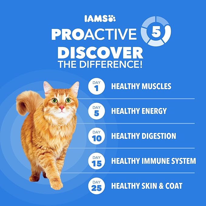 IAMS Healthy Enjoyment Dry Cat Food Chicken & Salmon Recipe, Cat Food Dry Recipe, 15 lb. Bag
