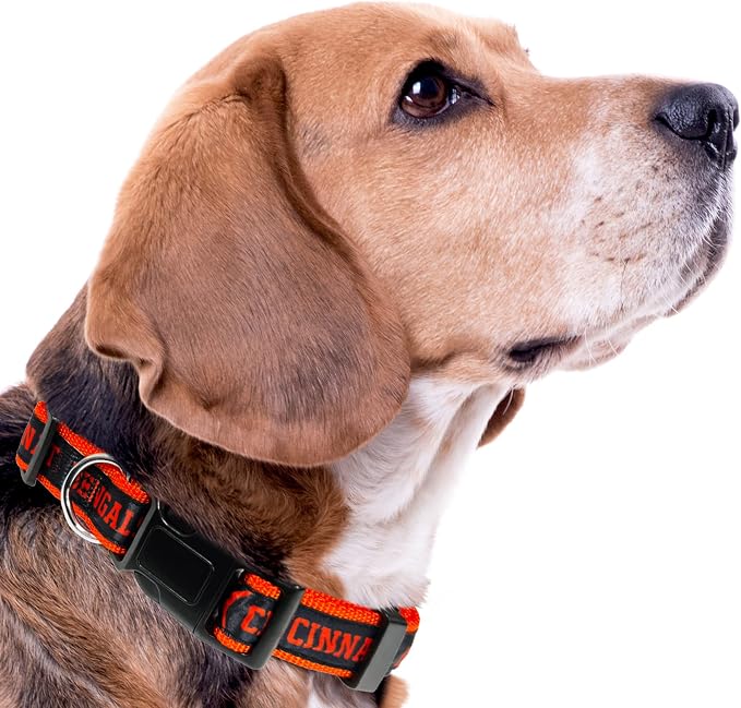 Pets First NFL Cincinnati Bengals Licensed PET COLLAR, Large - Heavy-Duty, Strong, and Durable Dog Collar. Available in 31 Football Teams and 4 Sizes