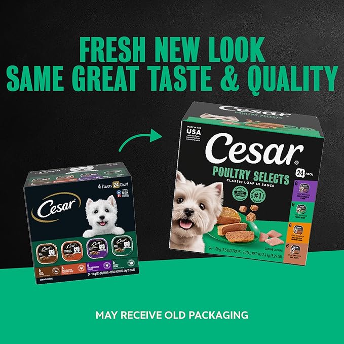 Cesar Classic Loaf in Sauce Adult Wet Dog Food with Duck, Oven Roasted Chicken, Grilled Chicken, and Turkey Recipes, 3.5 oz. Easy Peel Trays, Variety Pack (24 Count, Pack of 1)