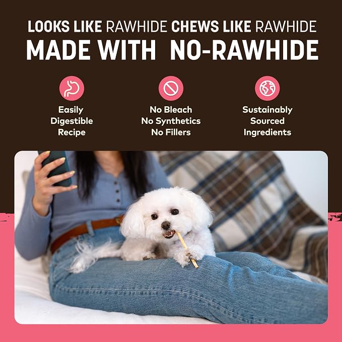 Earth Animal No Hide Stix - Long Lasting Rawhide Free Small Dog Chews Sticks, Salmon - 80 Count Extra Value Pack