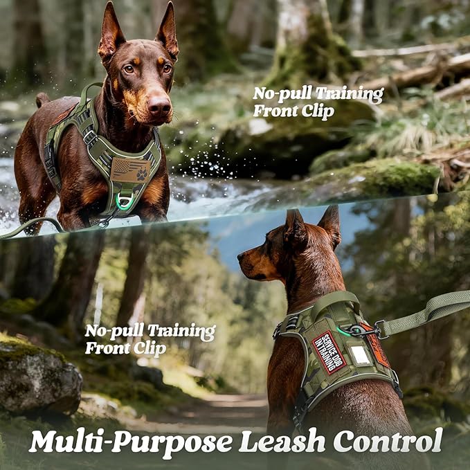 rabbitgoo Dog Harness for Large Dogs No Pull, Tactical Service Pet Vest with Molle and Control Handle, Adjustable and Reflective Military Harness for Easy Walking and Training, Green Camo, XL