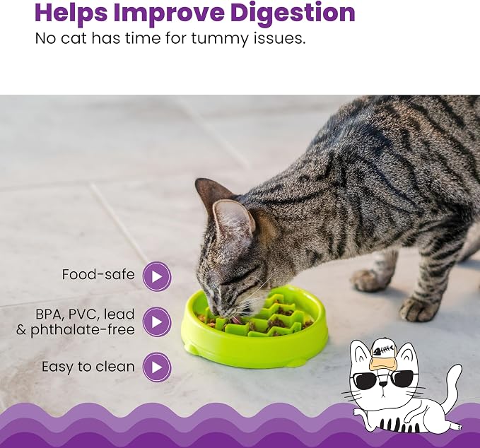 Catstages Kitty Slow Feeder Bowl for Cats & Small Dogs, Puzzle Dish for Fast Eaters, for Wet or Dry Food, Helps Slow Eating & Aid Digestion, Non-Slip, Made Without BPA, 3/4 Cup, 5-Inch, Green