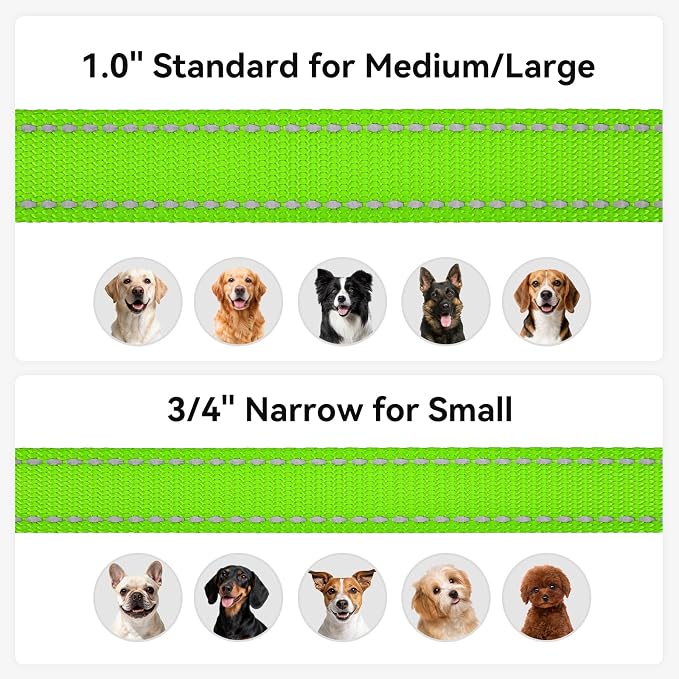 Joytale Dog Leash, 4 FT Double-Sided Reflective, Padded Handle Nylon Heavy Duty Leashes for Small Dogs Walking, Green