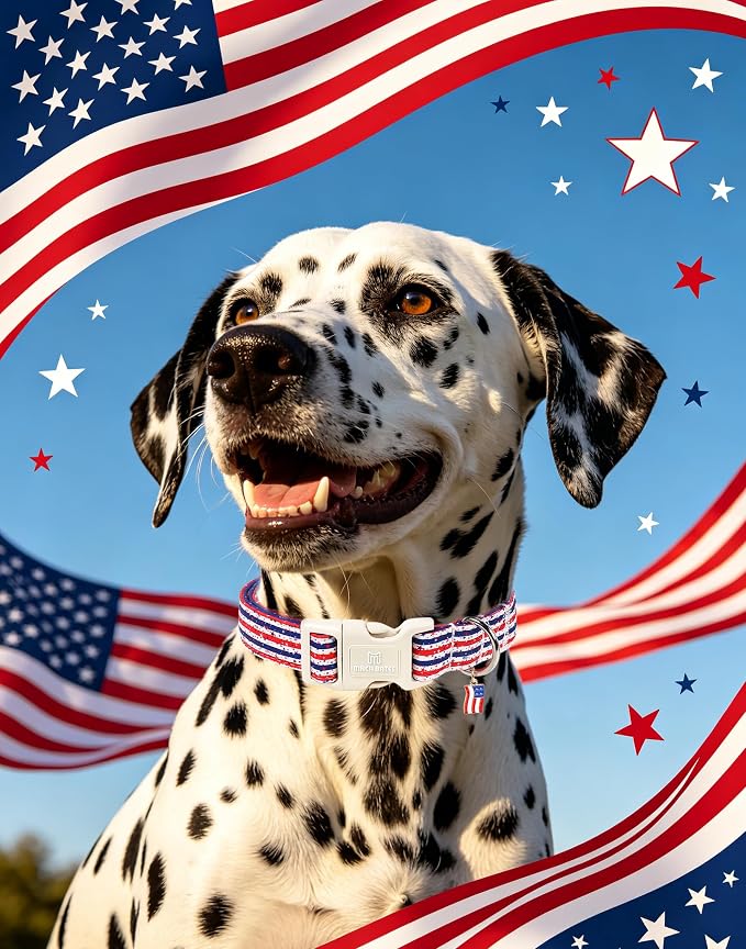 Maca Bates 4th of July Dog Collar with Flag Charm for Large Girl Boy Dogs, Star Stripes Pattern,Pretty Adjustable Durable Collars Blue Independence Day Gift for Male Female Puppy