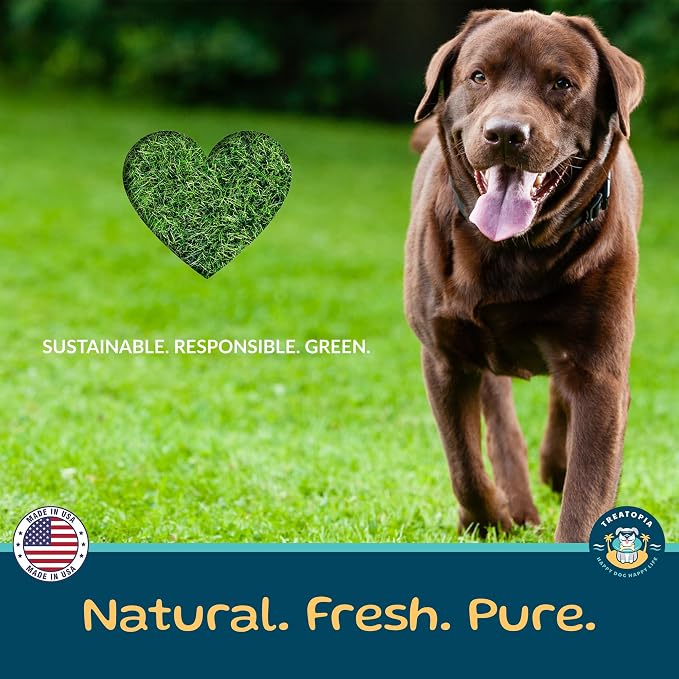 TREATOPIA Adventure Dynamo Beef Marrow Dog Bones 3” (3 Pack), Long-Lasting Natural Chews, Center-Cut Single Ingredient Treats, Slow-Roasted, Hand-Trimmed, Made in USA, No Additives or Fillers