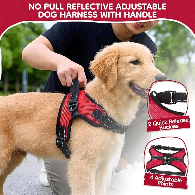No Pull Reflective Adjustable Dog Harness with Handle- Comfortable Soft All Weather Mesh, Easy On Puppy Harness for Small Medium and Large Dogs (Red) Small