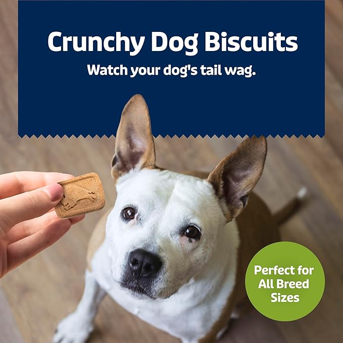 Blue Buffalo Health Bars Apples & Yogurt Crunchy Dog Biscuits, Oven-Baked with Real Apples & Natural Ingredients, Healthy Dog Treats with No Artificial Flavors or Preservatives, Jumbo Box 3.5 lbs.