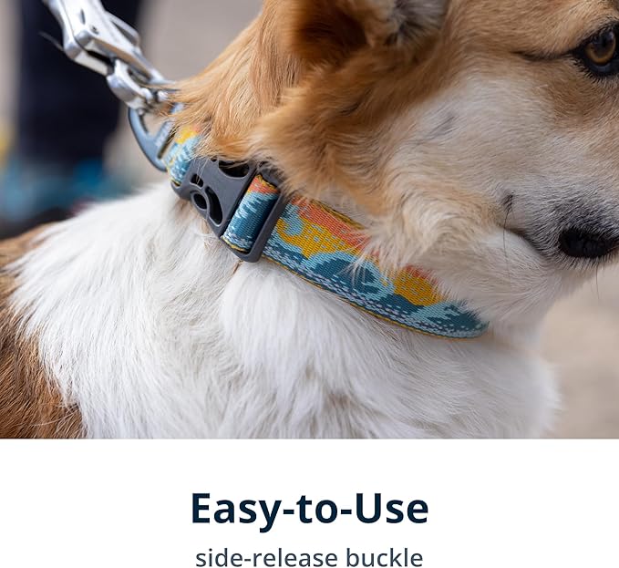 Ruffwear, Crag Dog Collar, Stylish Adventure Collar with Premium Reflective Design, Quick Release Buckle, Lightweight All-Day Comfort, Grassy Oxbow, 14"-20"