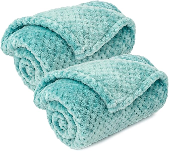 Pet Blanket for Dogs or Cats - Warm Soft Fuzzy Plush Fleece Throw for Puppy, Kitten, Small, Medium, Large Pets - Bed, Couch, Sofa, Travel (S/24" x 32", Robin Blue)