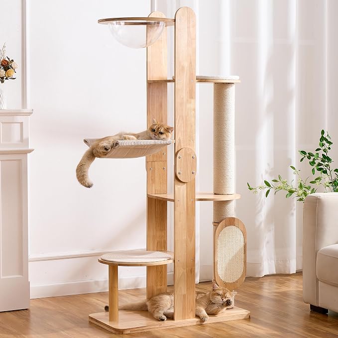 HITTITE Solid Wood Cat Tree Tower with Scratching Post, 64 Inches Tall Cat Towers with Scratching Board, Modern Cat Tower with Space Capsule and Removable Top Bed for Indoor Cats