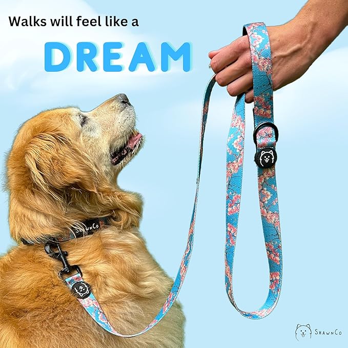 ShawnCo Dream Walk Dog Leash- Premium, Nylon Pet Leash with Soft Neoprene Handle for Small, Medium and Large Dogs (Electric Blue, Medium/Large)