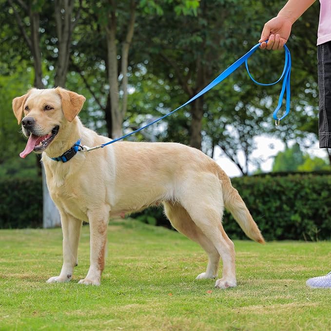 Waterproof Dog Leash, 5/6 FT Durable Odor-Proof Dog Leashes with Strong Metal Hooks Fits Small Medium or Large Dogs (Blue, 5FT - 3/4 inch Width)