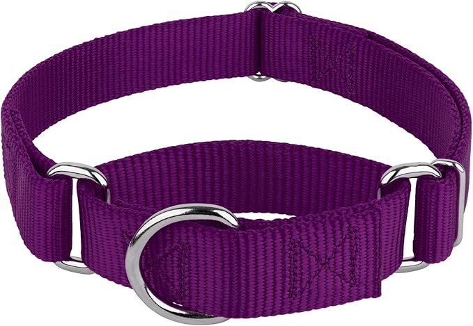 Country Brook Petz - Martingale Dog Collar - Heavy-Duty Training Collar with No Buckle - Service Dog Collar for All Pups - 20 Vibrant Colors (Purple, 1 Inch, Medium)
