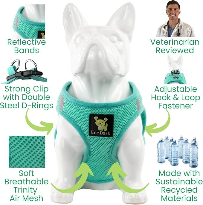EcoBark Teacup Dog Harness - Luxury Step in Mesh Dog Harnesses in Mint Turquoise