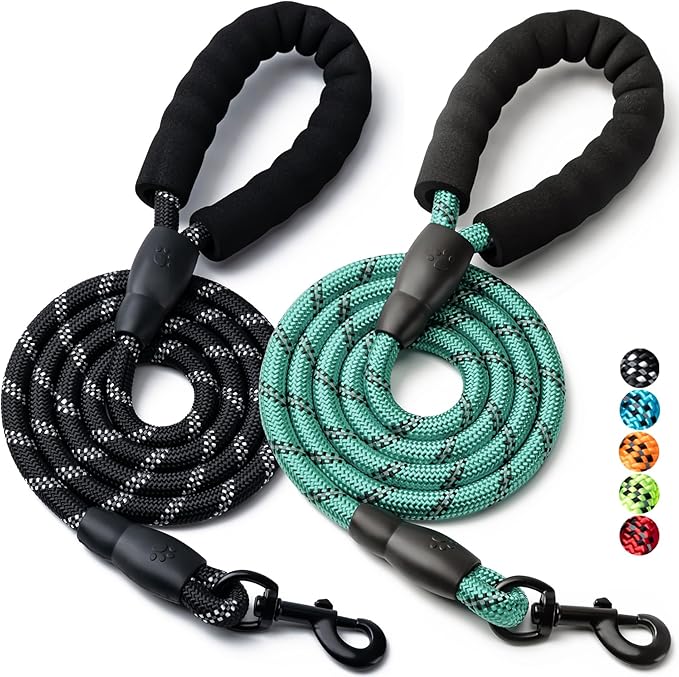 2 Pack Dog Leash, 4/5//6 FT Heavy Duty Nylon Rope Pet Leashes with Comfortable Padded Handle, Reflective Dog Leashes for Small Medium and Large Dogs (4FT-3/8,Black/Turquoise)