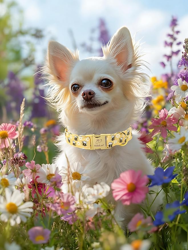 Yellow Bee Dog Collar, Cute Spring/Summer Cartoon Boy Girl Dog Collars, Adjustable Heavy Duty Male Female Dogs Collar for Small Medium Large Dogs with Metal Buckle XS