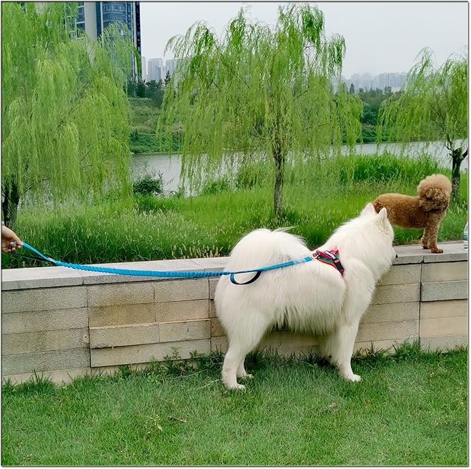5FT Bungee Dog Leash with 2 Handles, Reflective Strong Nylon Traffic Leash, Shock Absorbing Lead for Large Medium Dogs Walking Training Controlling, Blue